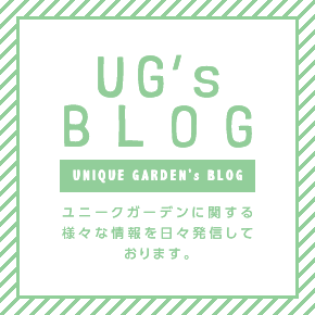 UG’s BLOG