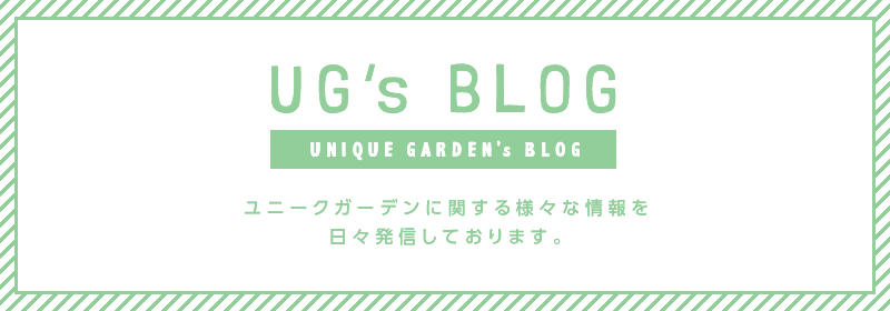 UG’s BLOG